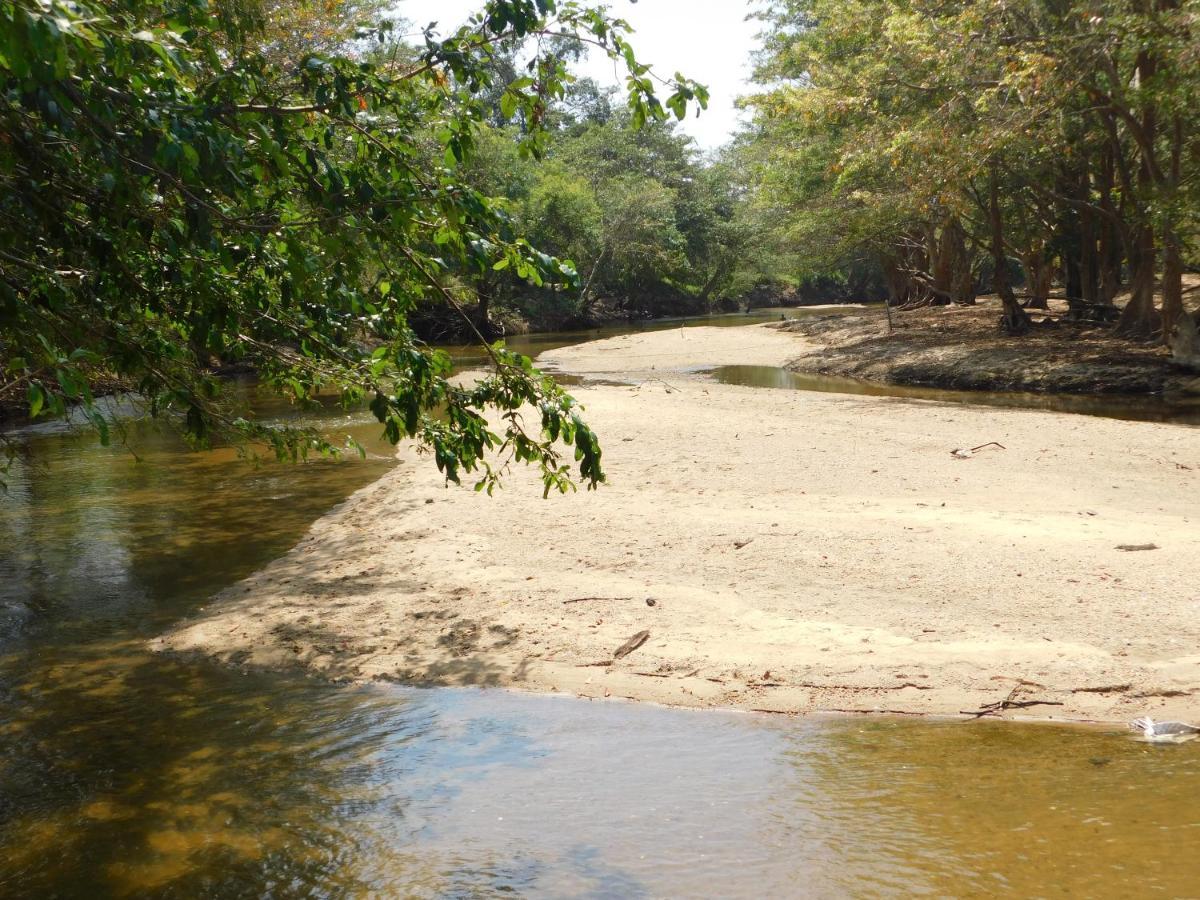Kayjay Wild Wilpattu Hotel Exterior photo